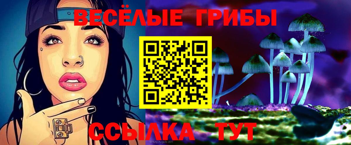 Галлюциногенные грибы GOLDEN TEACHER  Вход с VPN  купить закладку  Алатырь 
